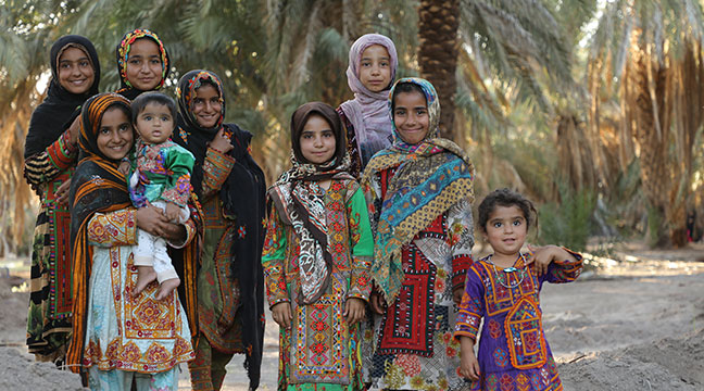 درباره سفینة النجاه